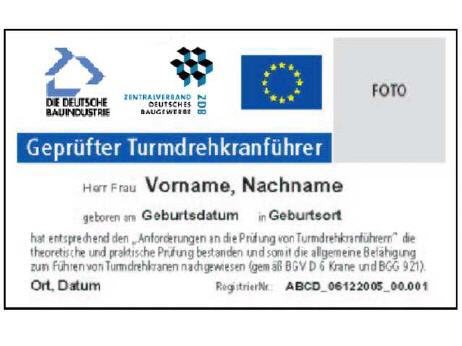 In der Schweiz und EU annerkannter Fahrausweis